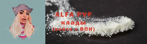 ECSTASY Вяземский